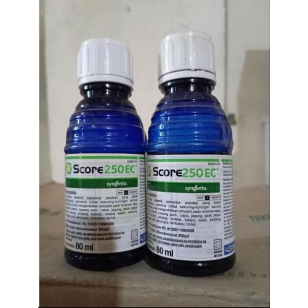 Score 80ml fungisida