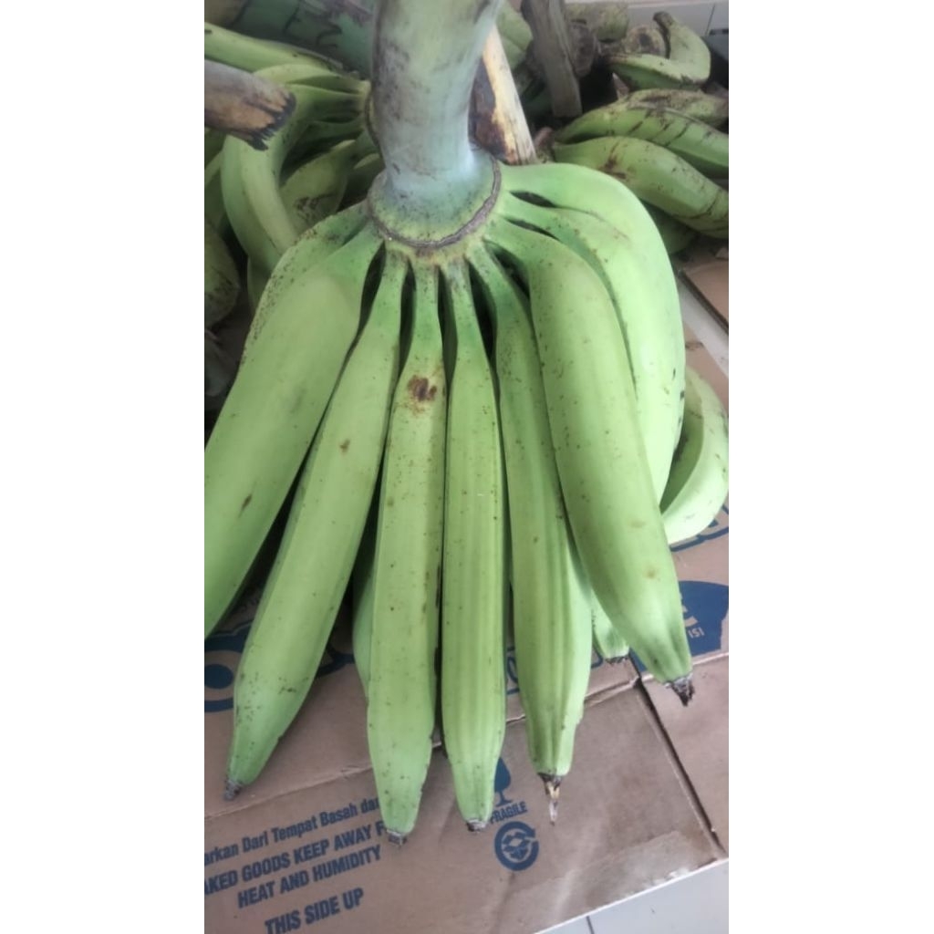 

pisang tanduk madu Muria 1 kg isi 3-4 biji manis,pulen