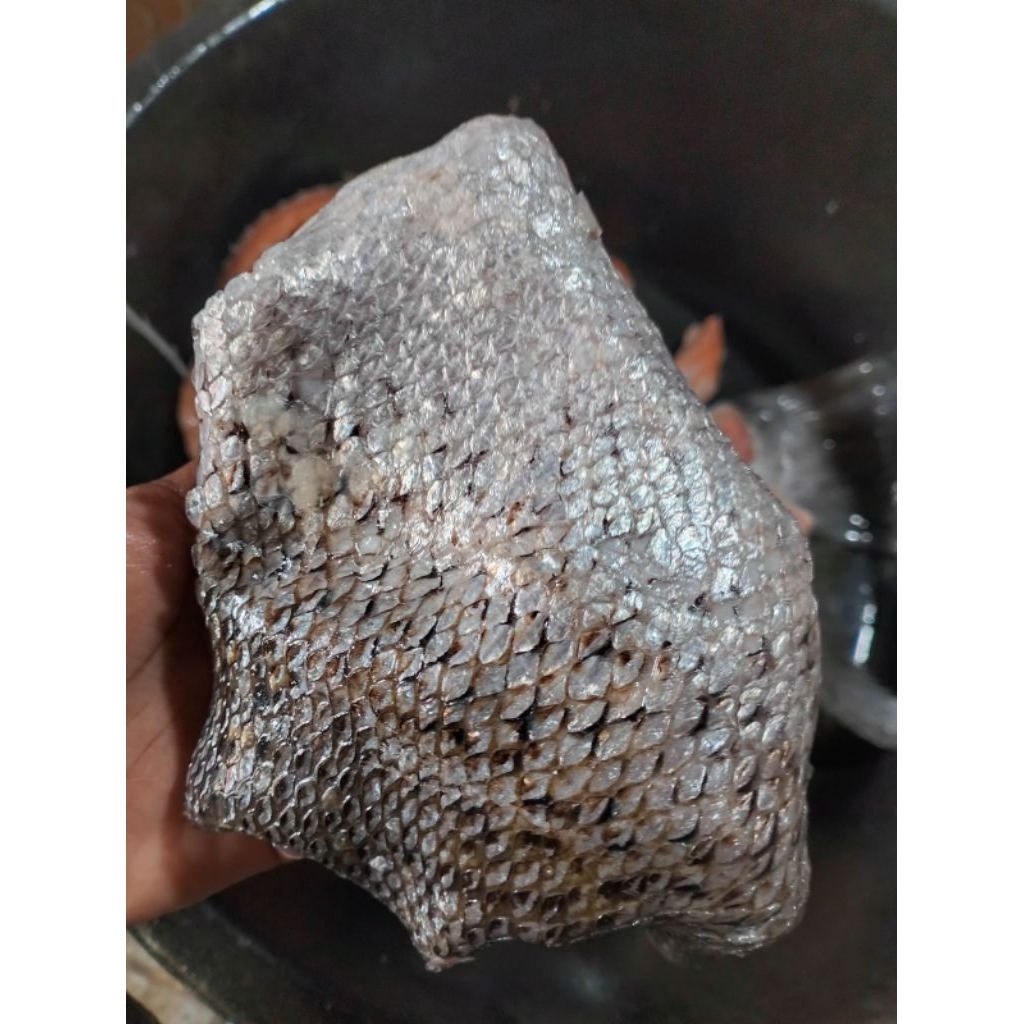 

Kulit Ikan Salmon
