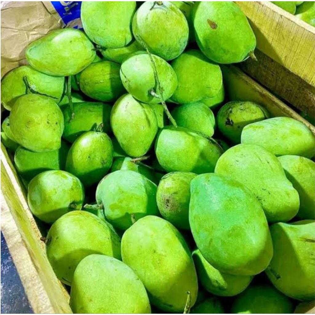 

buah mangga mentah 1kg kecut bppn