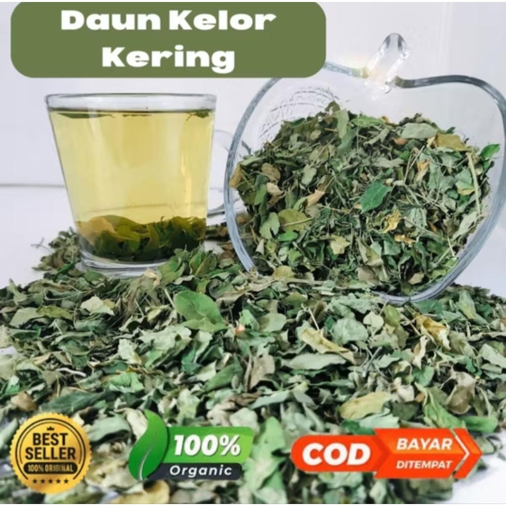 

Teh Daun Kelor Kering Asli | Herbal Superfood | Meningkatkan Daya Tahan Tubuh & Vitalitas