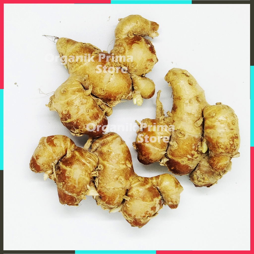 

Kencur Segar 250gr Asli dan Organik