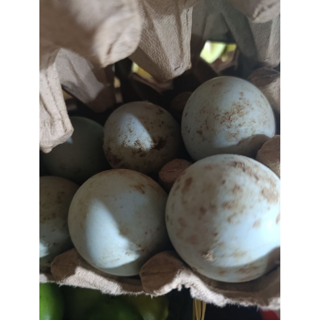 

telur asin bebek mentah 1 butir