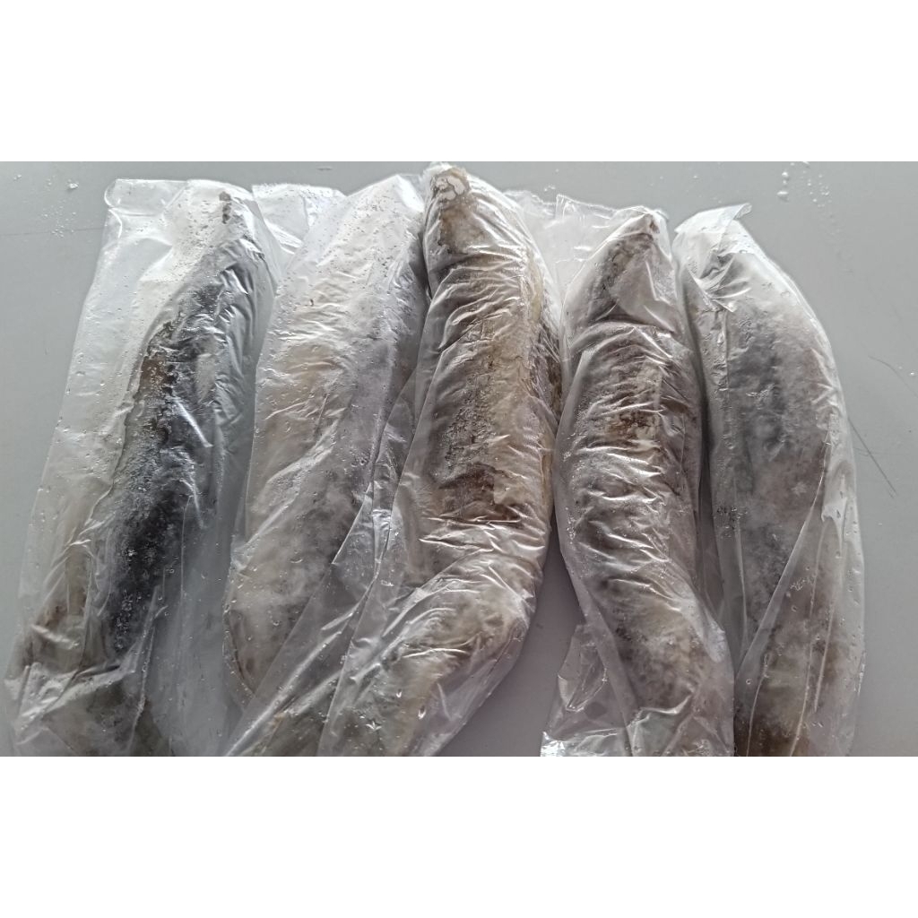 

BANDENG OTAK OTAK FRESH 1 EKOR