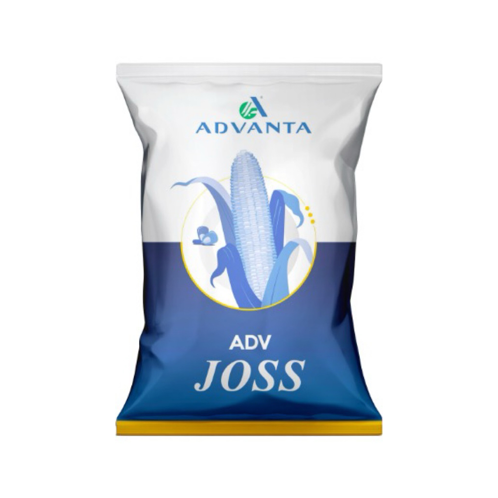 

jagung ADV joss kemasan 1kg dari Advanta