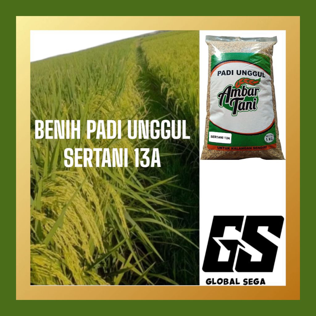 Benih Padi Bibit Padi SERTANI 13A Original Produk Kemasan 5KG