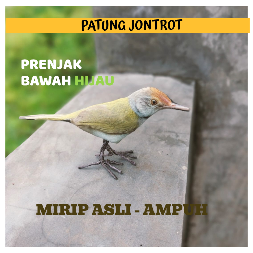 PATUNG JONTROT BURUNG PRENJAK BAWAH HIJAU - JONTROT BURUNG PRENJAK BAWAH HIJAU