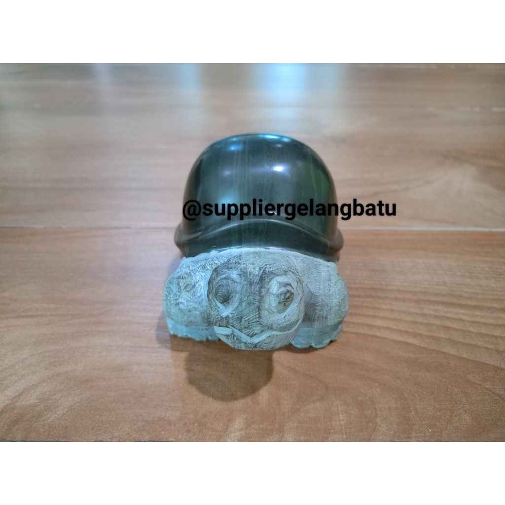 Natural bongkah sepasang kura kura black obsidian Aldabra tortoise