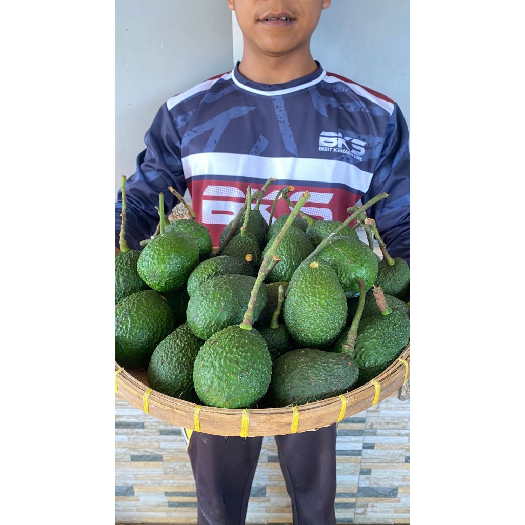 

Buah Alpukat Hass Fresh dari Kebun Berat 1kg (Limited Stok)