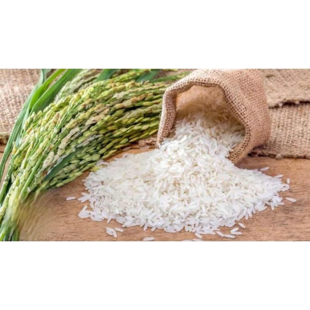 

(INSTAN-CARGO) ANEKA BERAS 5kg (LANGSUNG KIRIM)