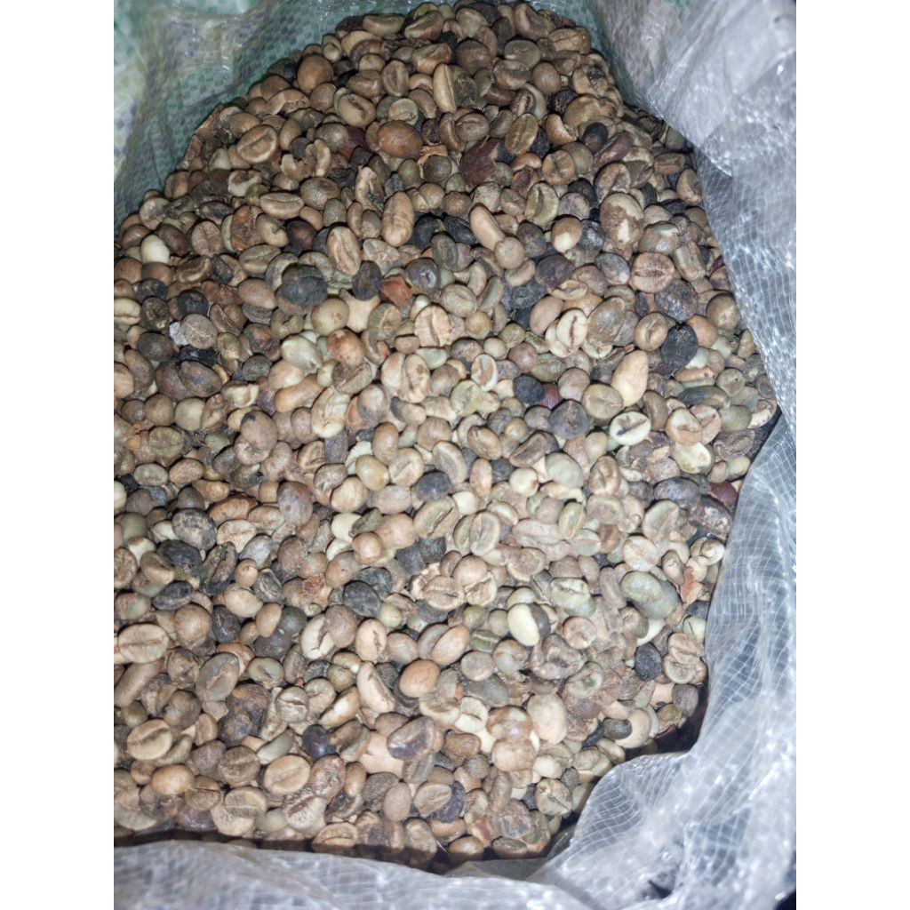 

Kopi Robusta Lampung