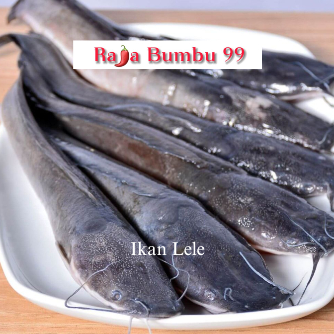 

Ikan Lele Fresh 1kg