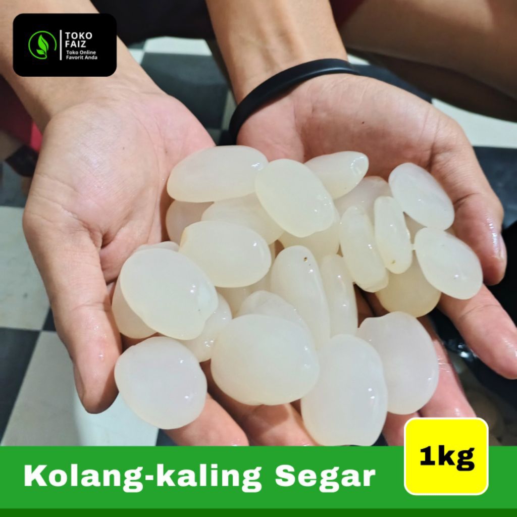 

Kolang Kaling pres segar olahan sendiri/hasil panen sendiri 1kg