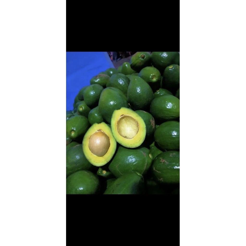 

Pokat Mentega Premium