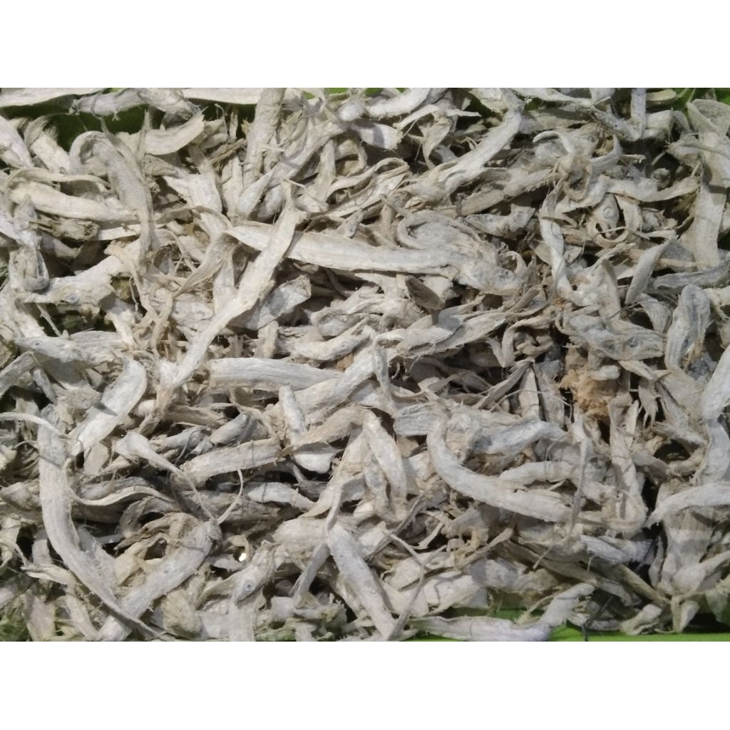 

IKAN LAYUR ASIN 100 Gram