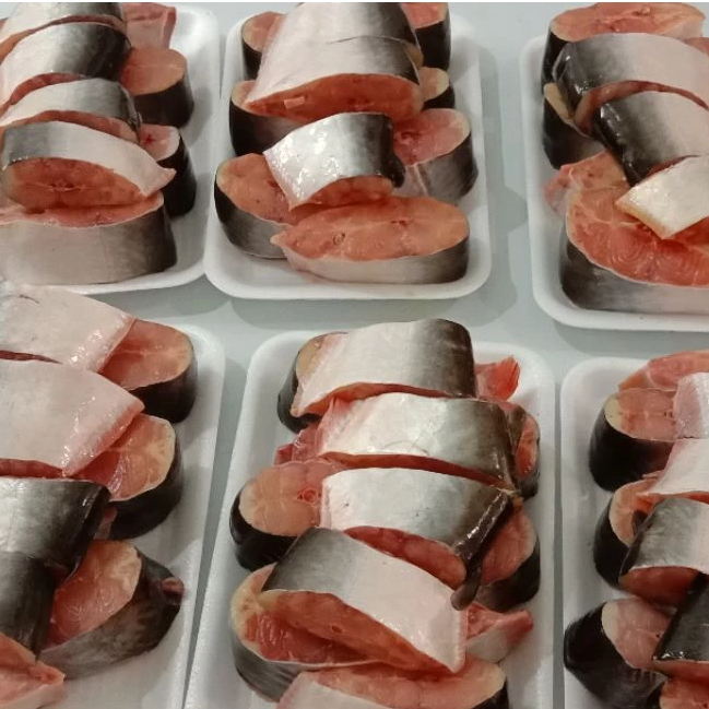 

PATIN MARINASI - Bumbu Kuning / Ikan Siap Goreng / Bakar