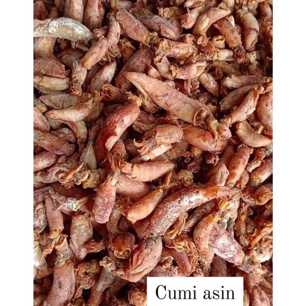 

Cumi Asin Pontianak / Cumi Cumi Telur / ikan Asin Cumi / Dried Squid / Cumi Kering / Sotong Asin