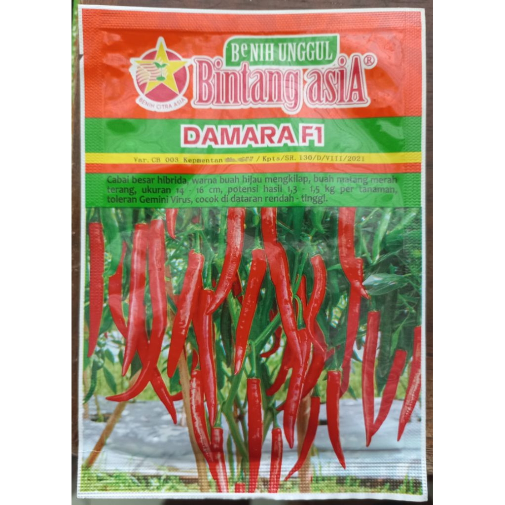 

Cabe besar DAMARA F1 10 Gram Bintang Asia