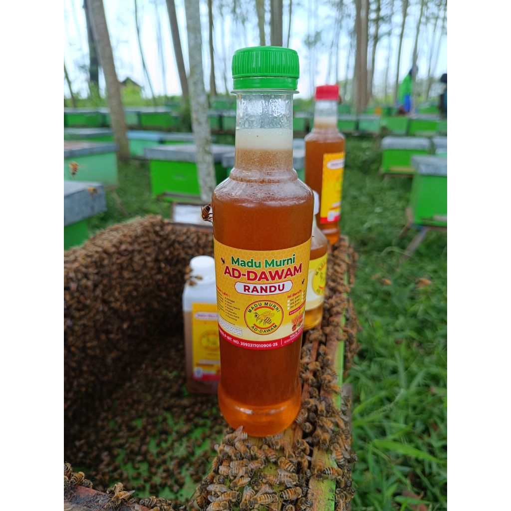 

Madu murni asli nektar randu 100% madu murni addawam 500gram