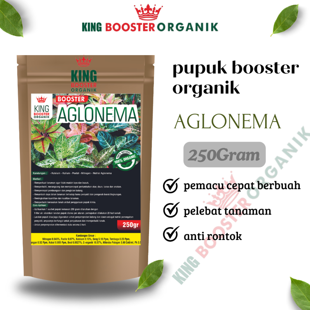 Pupuk Aglonema Organik Penyubur Ampuh Asli cepat Beranak tumbuh tunas akar daun dan anakan mempertaj