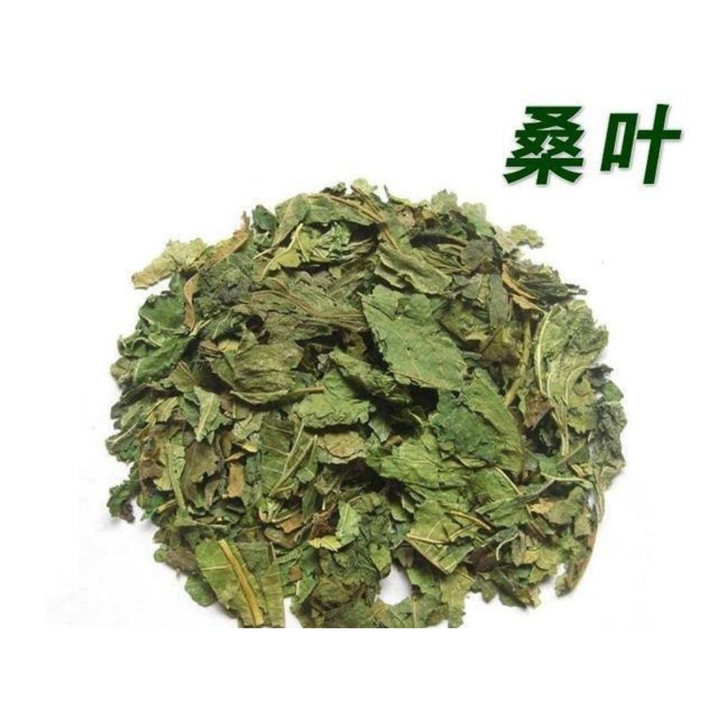 

100gr 冬桑叶 Dong Sang Ye Mulberry Leaf Folium Mori Morus Alba