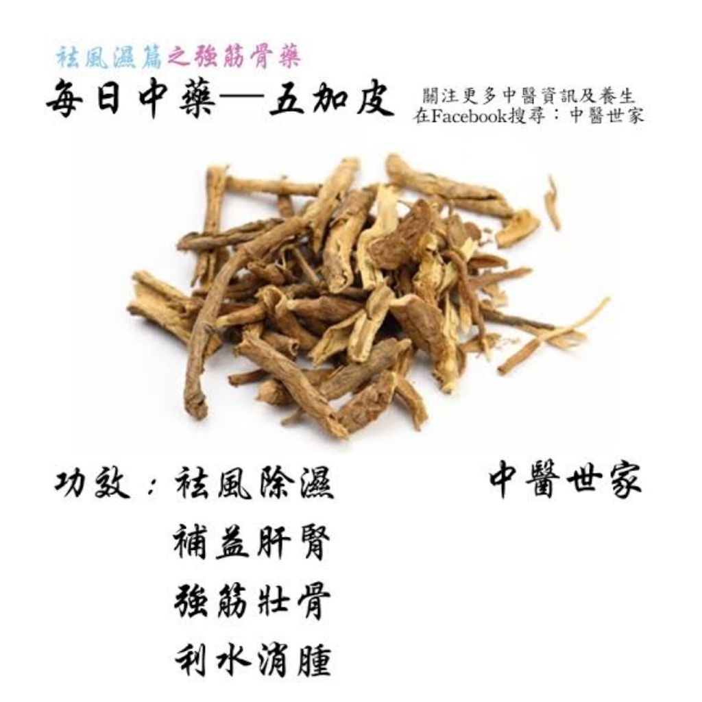 

100gr Wu Jia Pi Eleutherococcus Senticosus / Ginseng Siberia / Acanthopanax rootbarks / Sessileflower Acanthopanax Bark / Slenderstyle Acanthopanax Bark / Acanthopanacis Cortex
