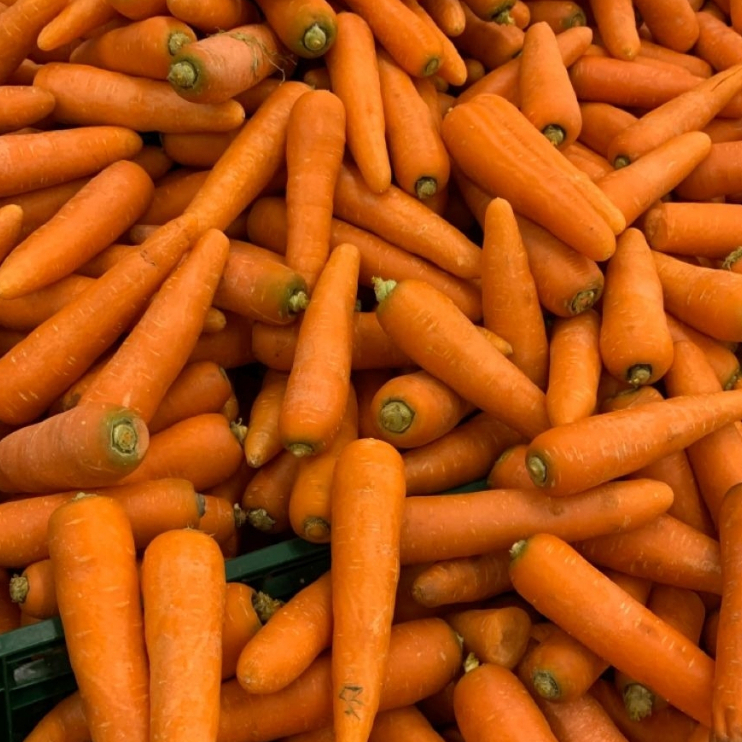 

Wortel Berastagi Fresh 500Gr Ciwidey