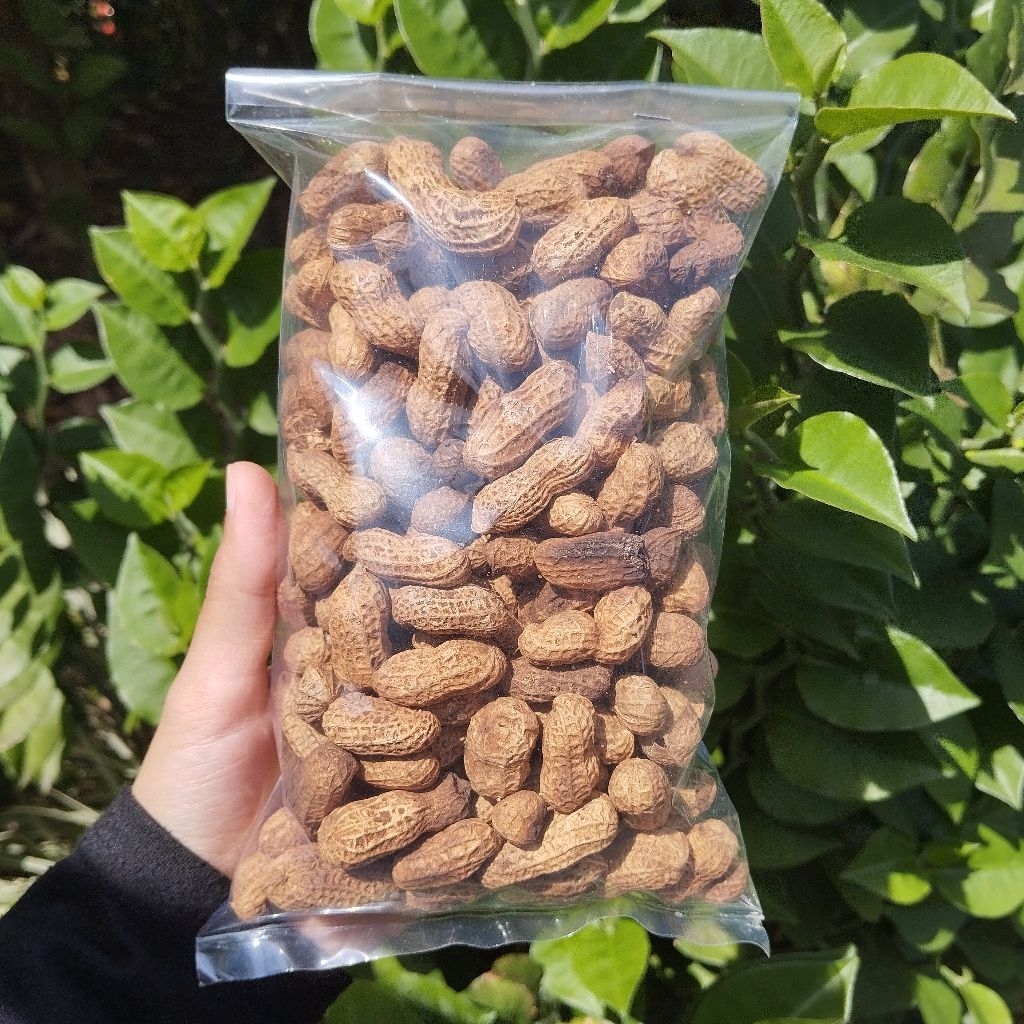 

Kacang Goreng - Camilan Kacang Oven - Kacang Gurih 200gr