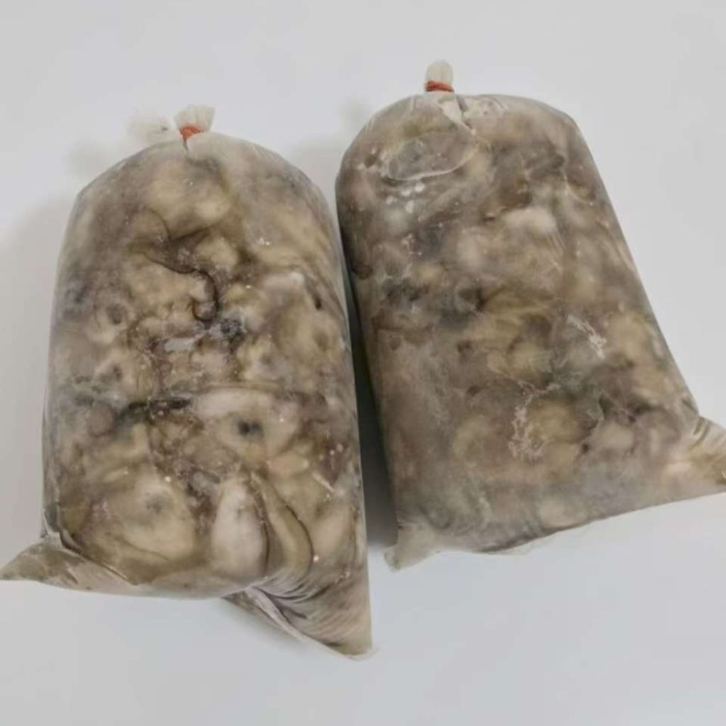 

Daging Tiram, Oyster, 海蛎, 1kg