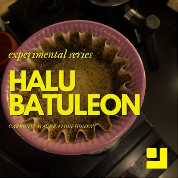 

Kopi Arabika Halu Batuleon - Carbonic Maceration Honey 200 gram