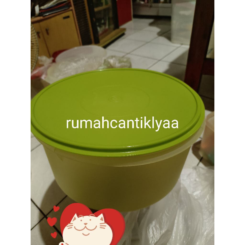 Carry all canister 10 ltr tupperware