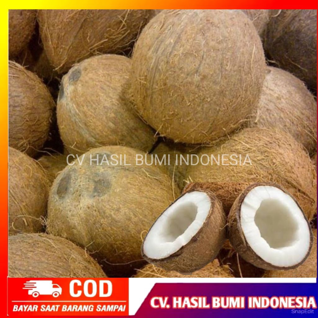 

Buah Kelapa Tua Utuh Segar Untuk Bahan Santan