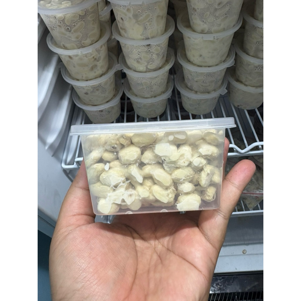 220gr Biji jarak fermentasi umpan bawal