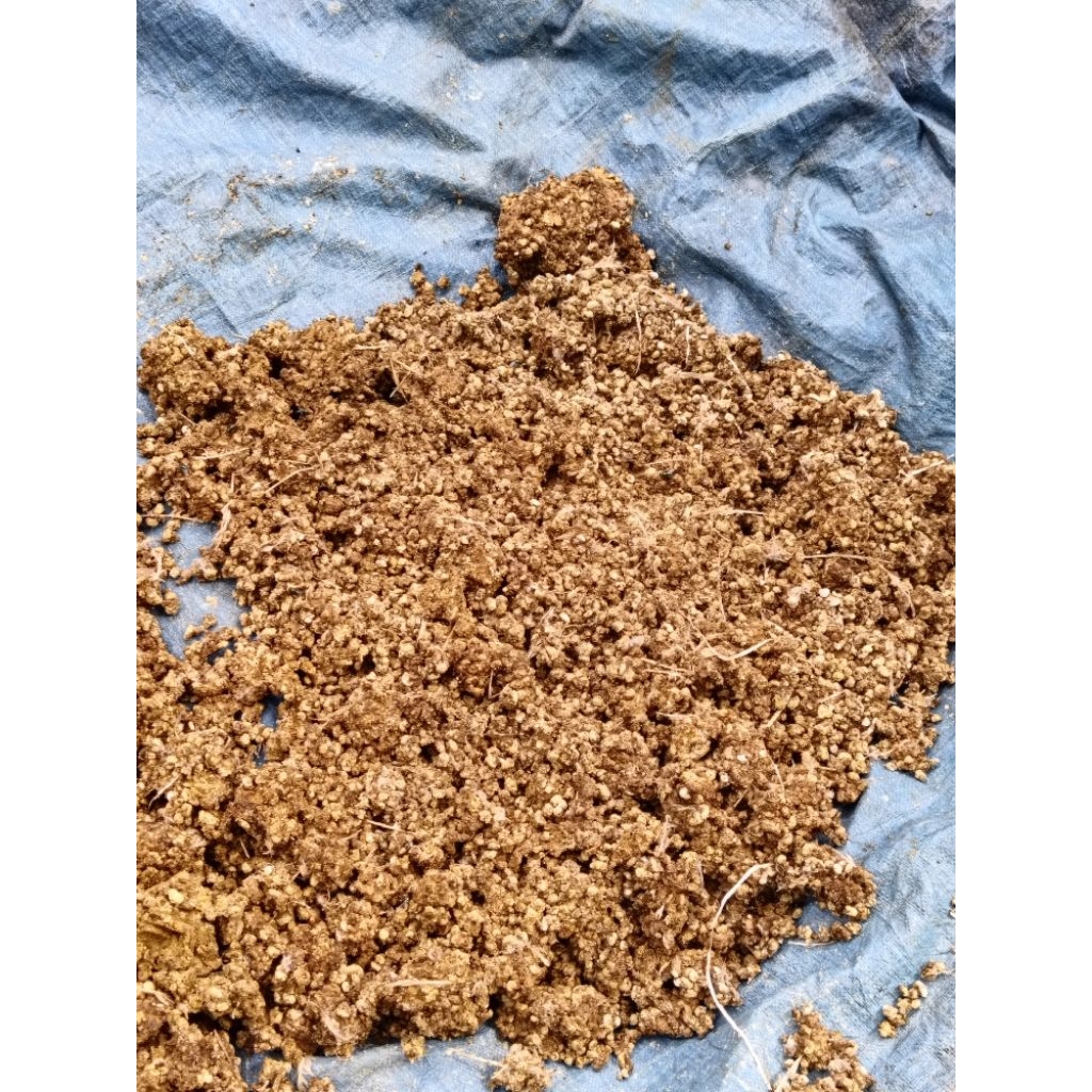 KOHE/PUPUK KERING KOTORAN PUYUH MURNI 1kg