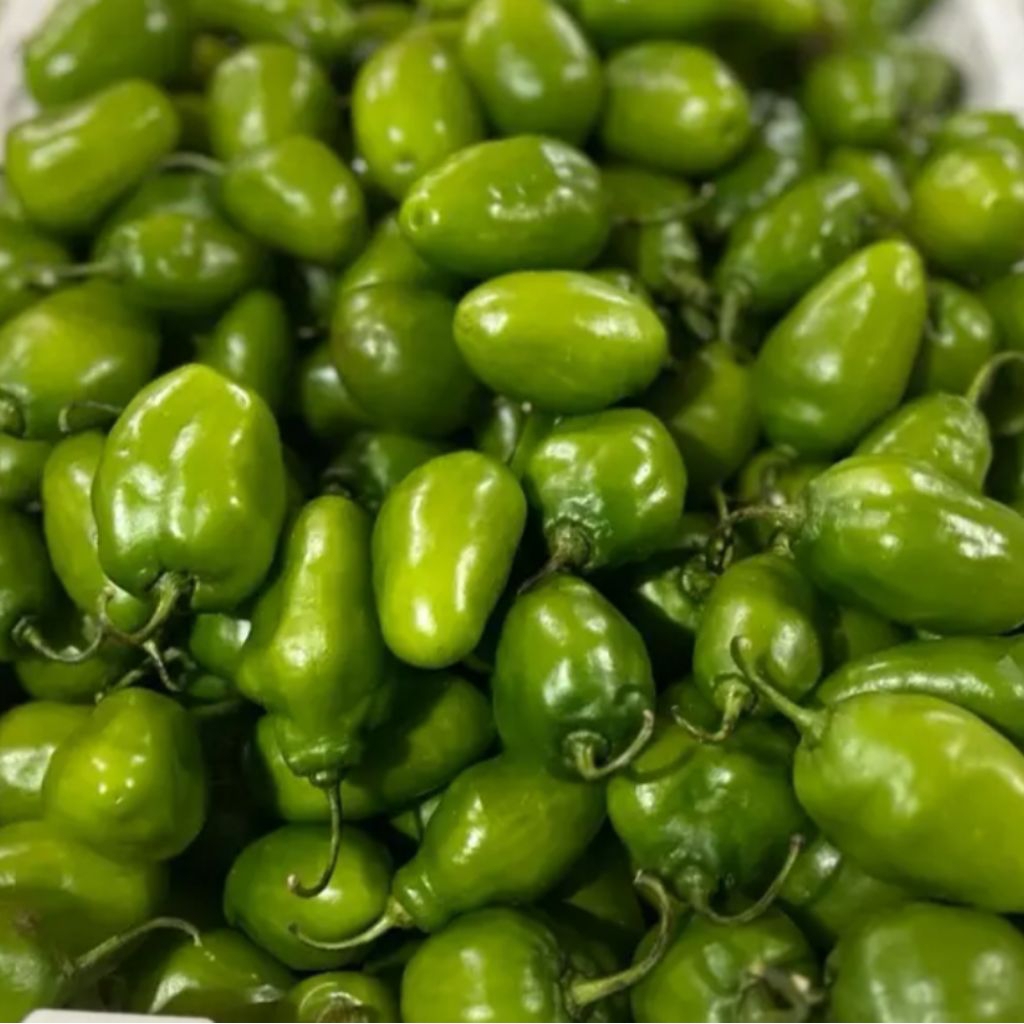 

cabe /kompor genot viral 500gram