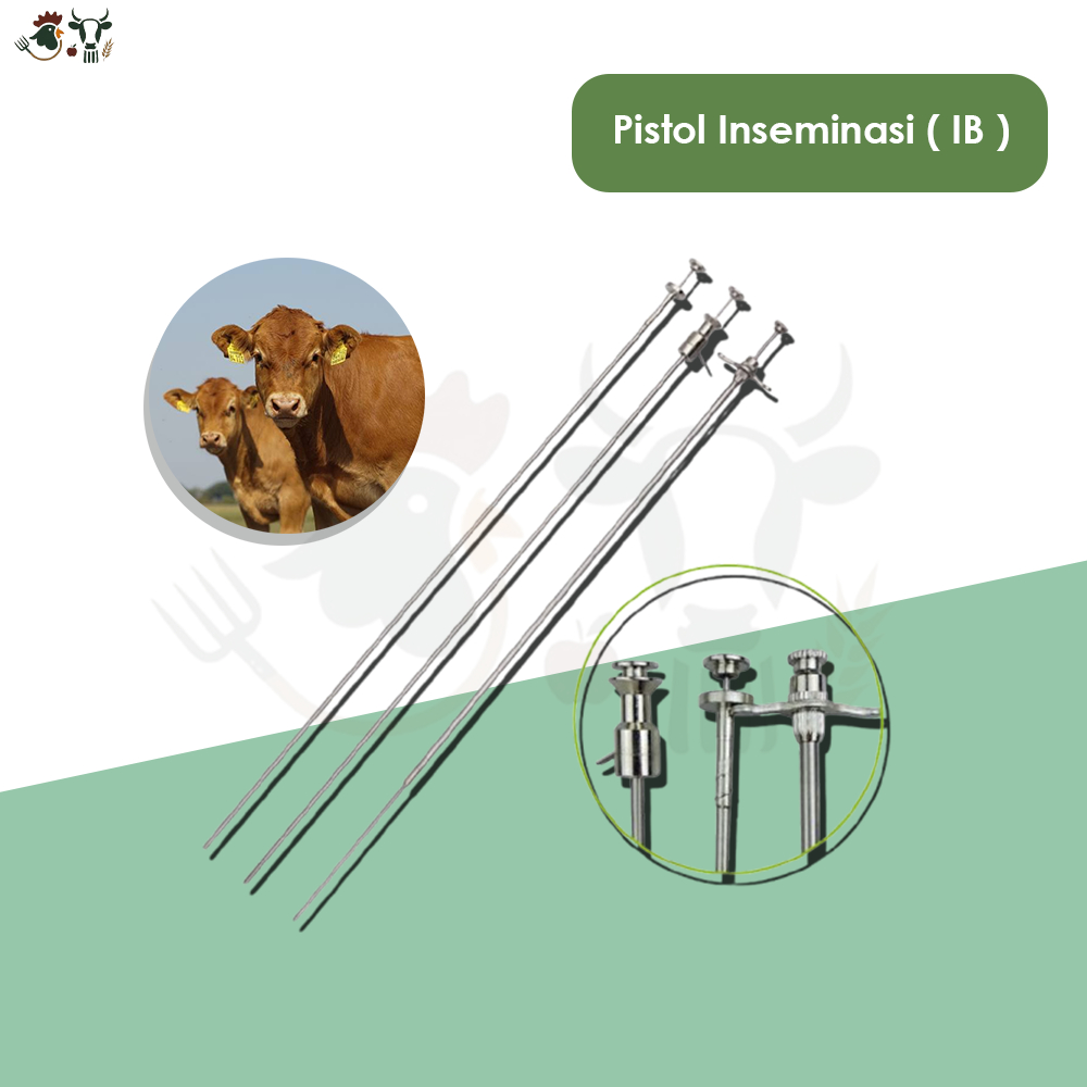 Insemination Gun Cattle – Alat Inseminasi Buatan Sapi & Peralatan Breeding Ternak