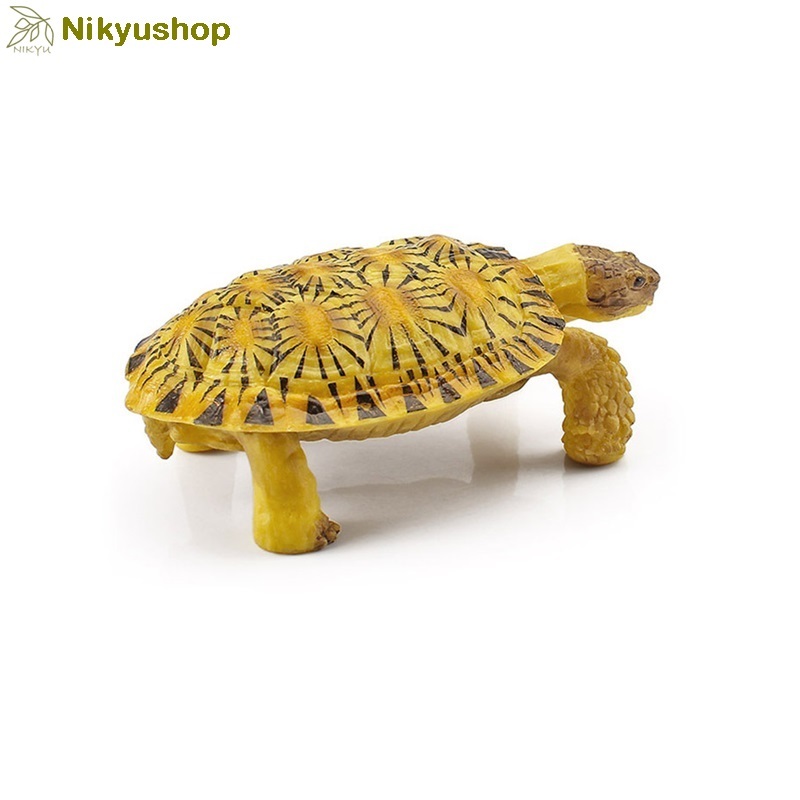 [Nikyushop] Mainan Edukasi Pajangan Hewan Replika Patung Kura Kura Pancake Tortoise Animal Figure
