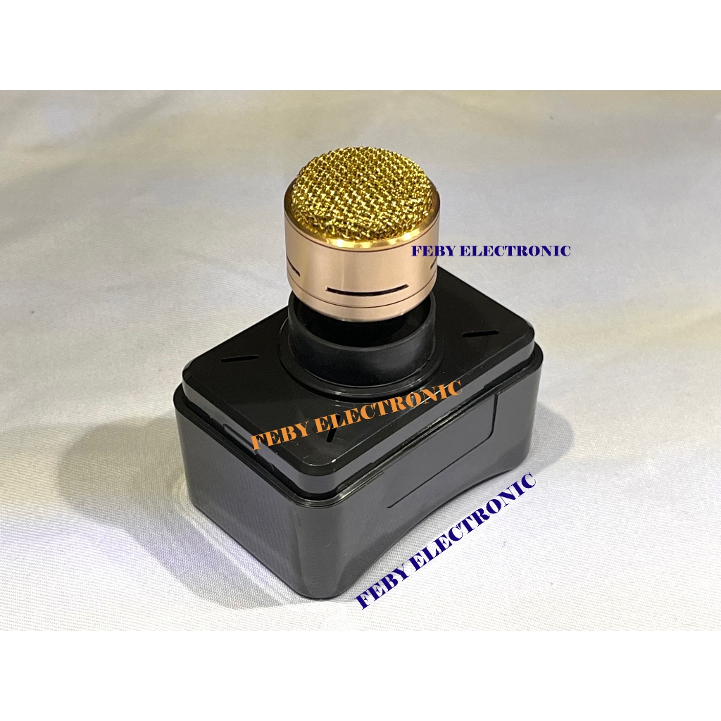 Spool Microphone LAD LD 182 Spul Spol Mic Profesional