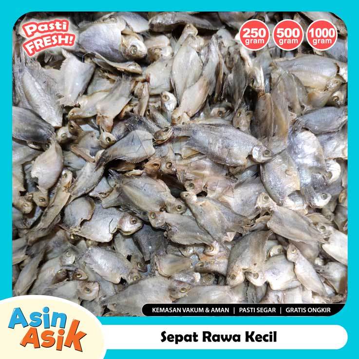 

Ikan Asin Sepat Rawa Kecil Premium Kualitas Super Bagus