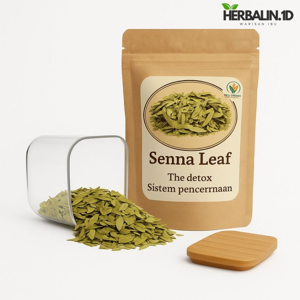 

Daun Senna Leaf 150gr Daun Senna Kering Detox Usus Kotor Daun Jati Cina Asli Organik Teh Herbal