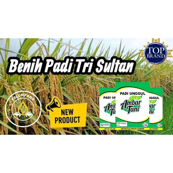 Benih Padi Tri Sultan Kemasan 5kg