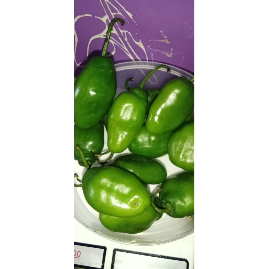 

Cabai bendot pres Asli Bandung 500gram