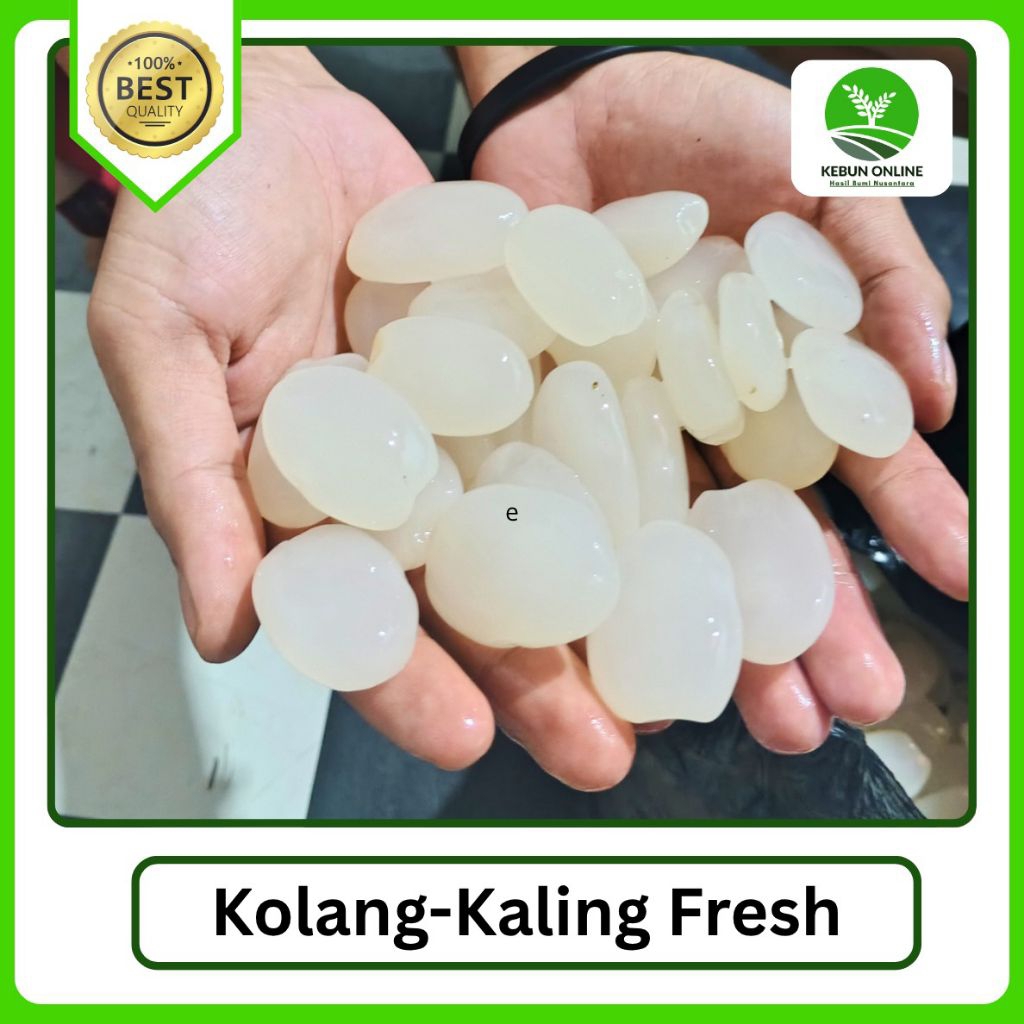 

GROSIR kolang-kaling Segar [1kg] Murah, harga Petani