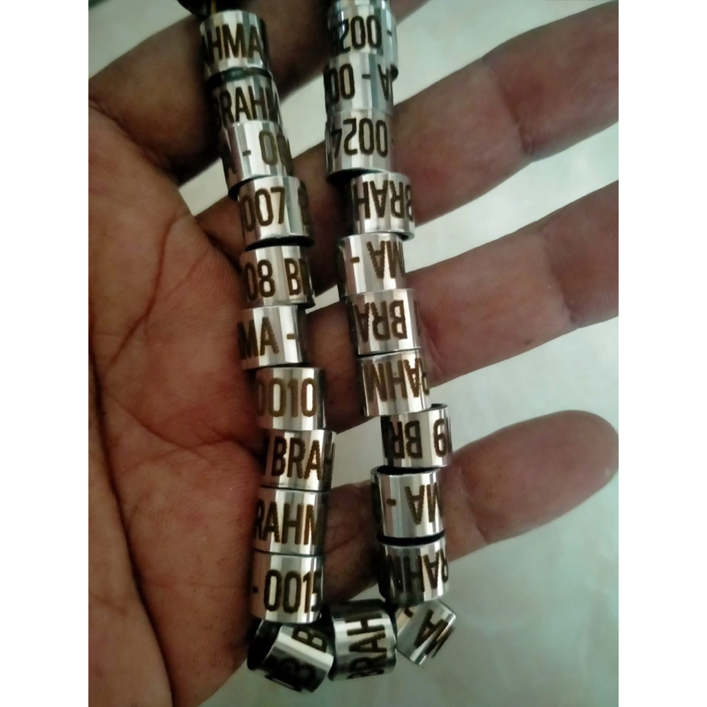 RING MERPATI BAJA LASER