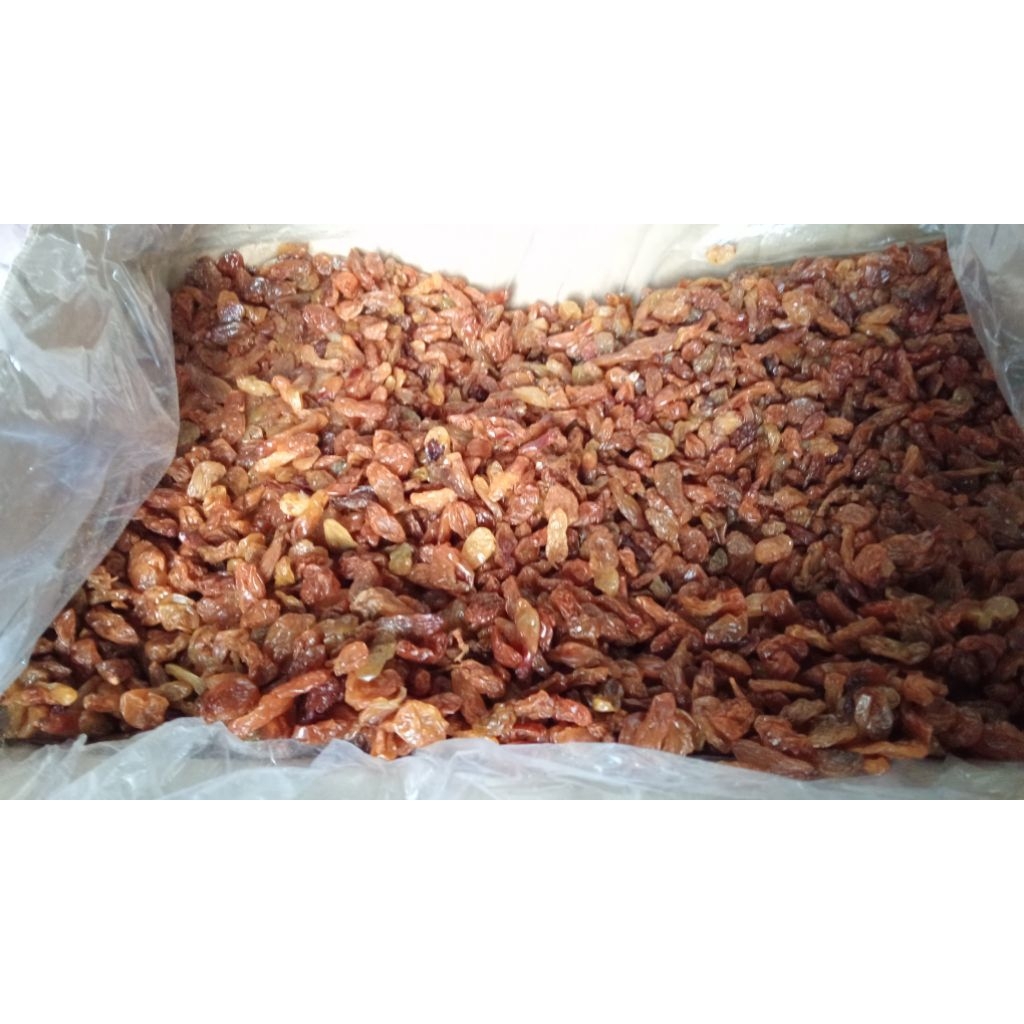 

Kismis Asam manis 1kg / Kismis Jumbo / Mis mis Asam manis / oleh oleh haji umroh