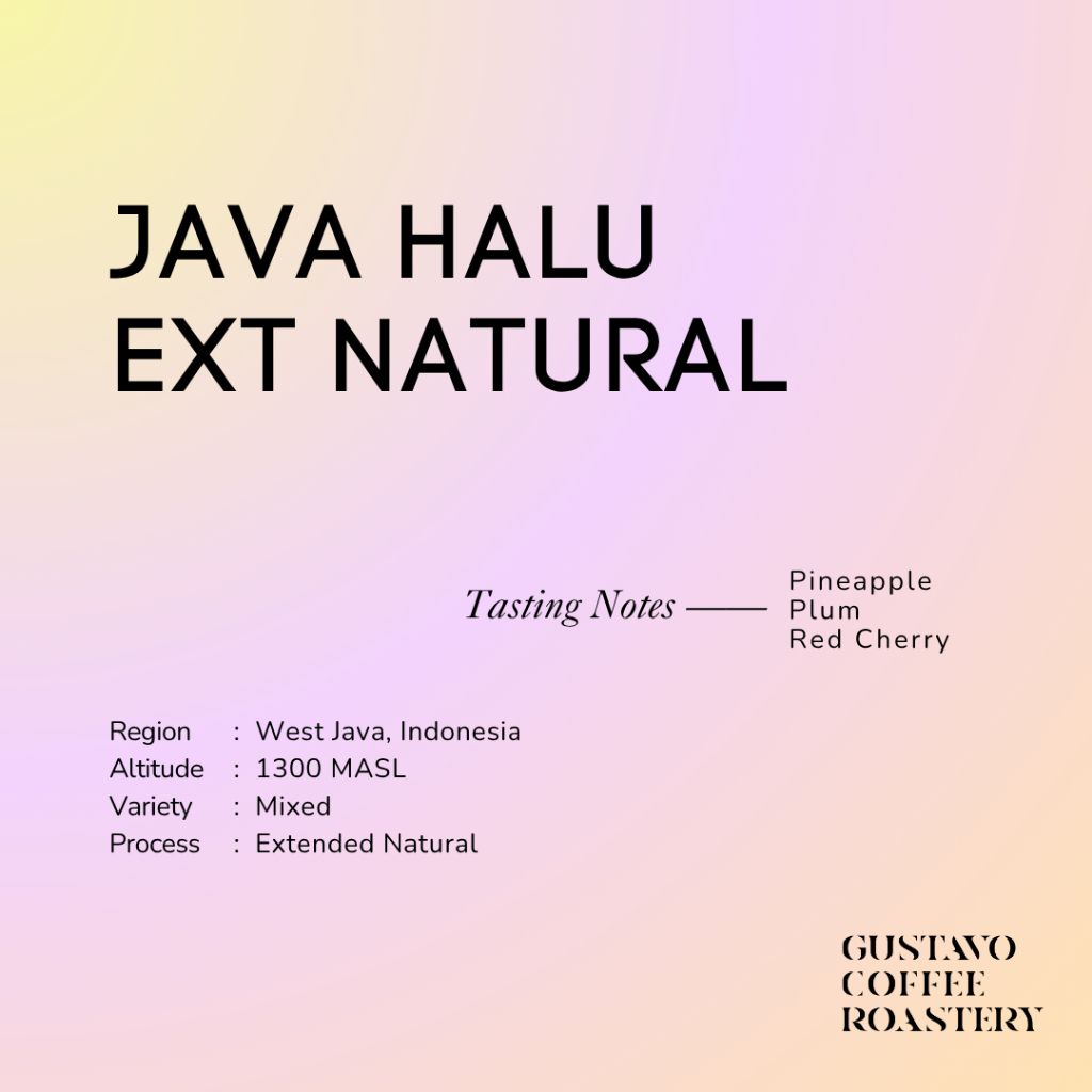 

Biji Kopi Arabika JAVA HALU EXTENDED NATURAL Single Origin Gustavo