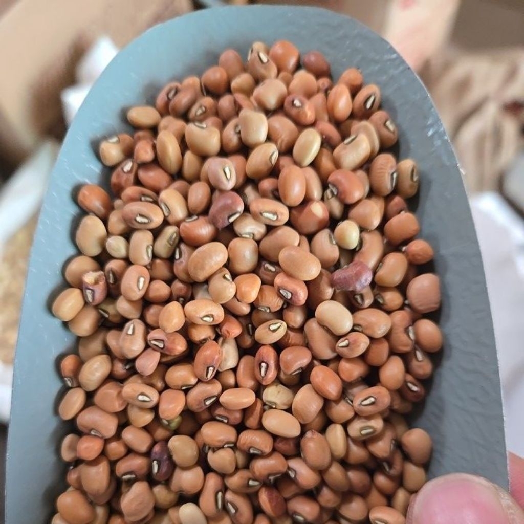 

kacang tunggak ecer an 1kg