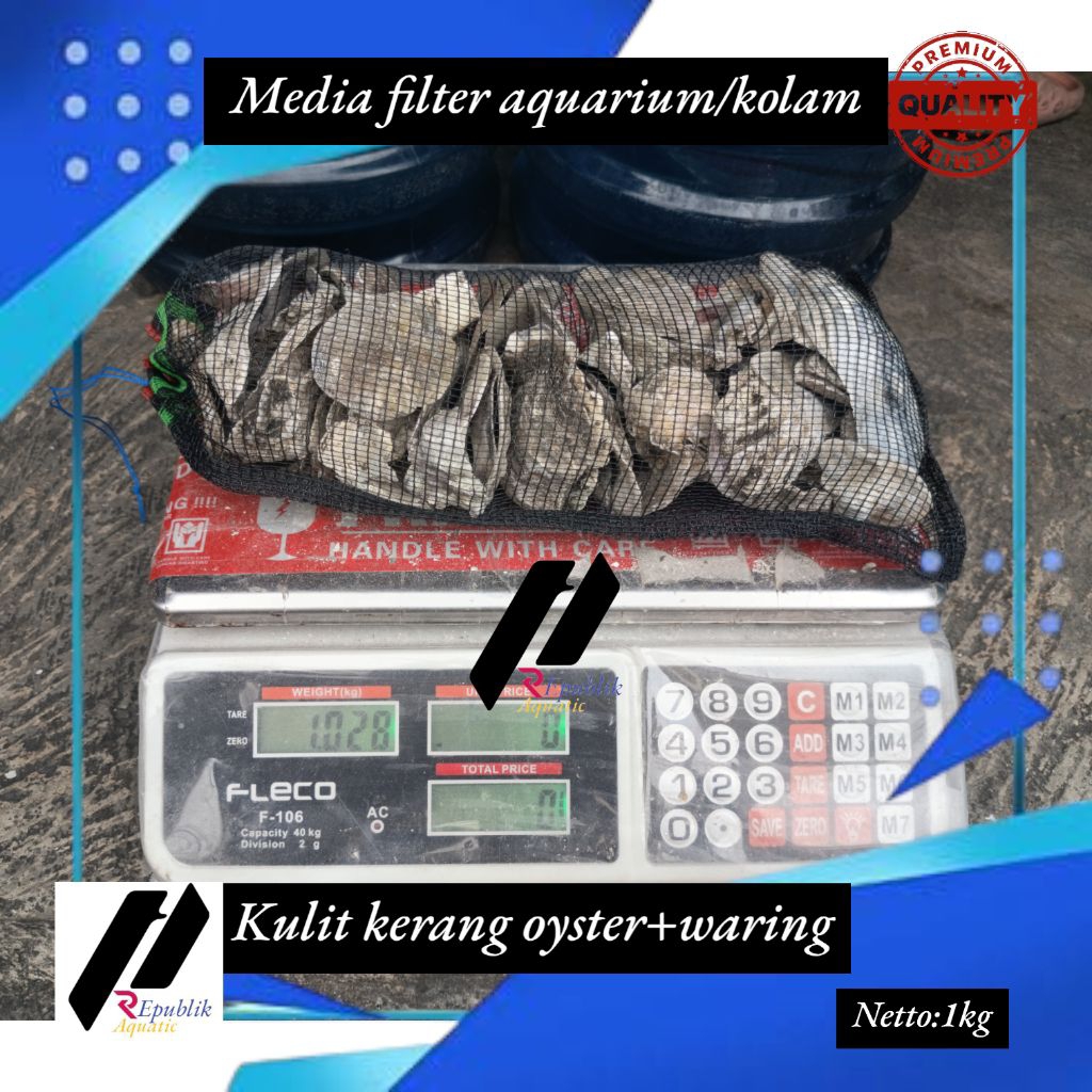 Oyster 1 kg/oyster / kerang oyster / cangkang oyster / media filter / media filter koi / media filte