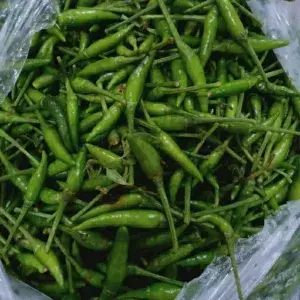 

Cabe Rawit Hijau Nyapak 100gr