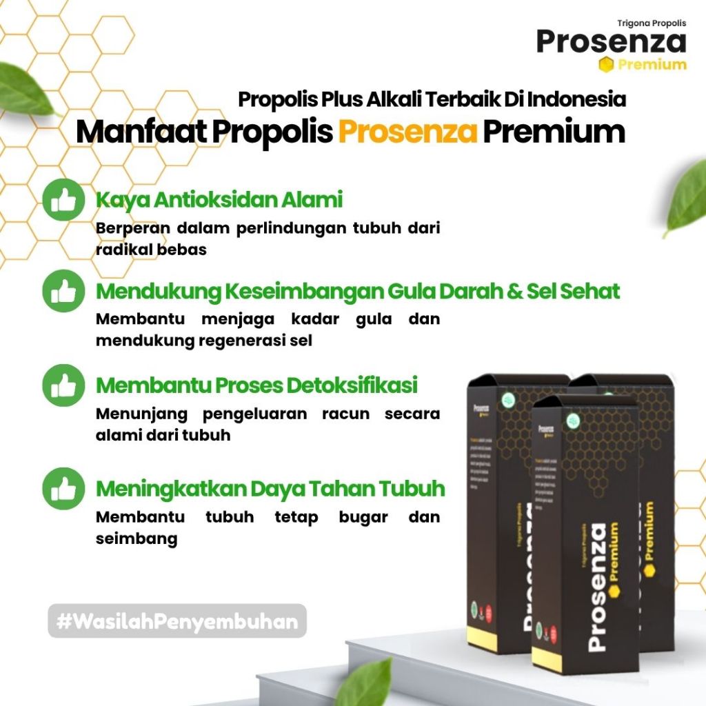 PROMO PROPOLIS PROSENZA PREMIUM PLUS ALKALI 100% ORIGINAL OBAT HERBAL DIABETES ASAM URAT KOLESTEROL